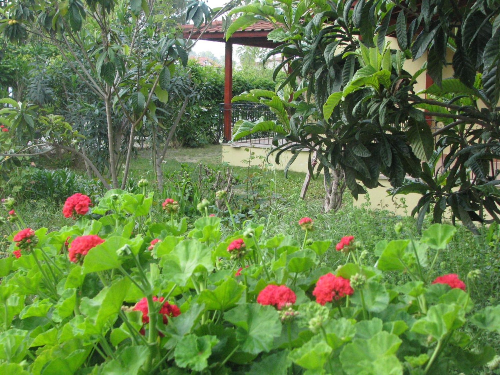 Alize Hotel Gocek  Bagian luar foto